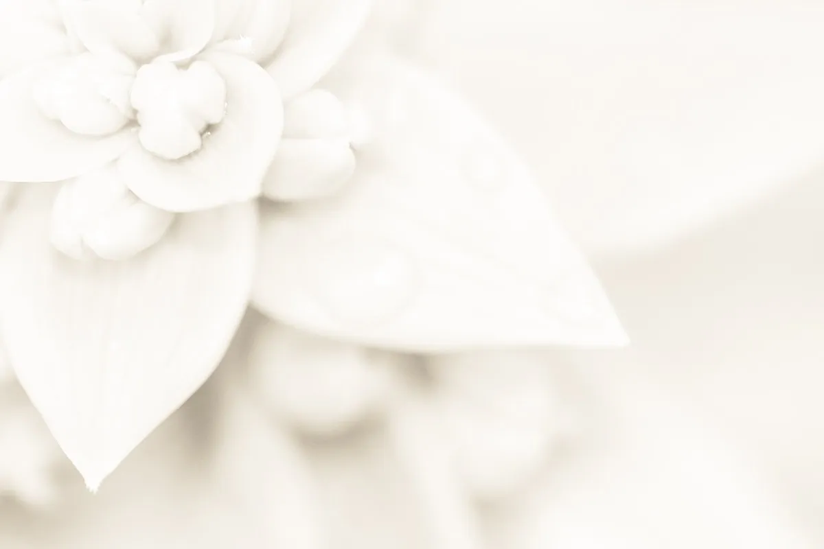 Elegante Hochzeitsdekoration mit Blumen - Hochzeitsplanung mit Unser-Ja.de